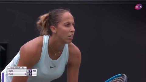 多才多艺的 多才多艺的